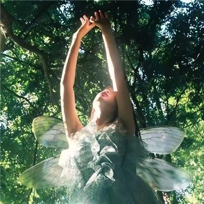 灰暗之光 (暂译)